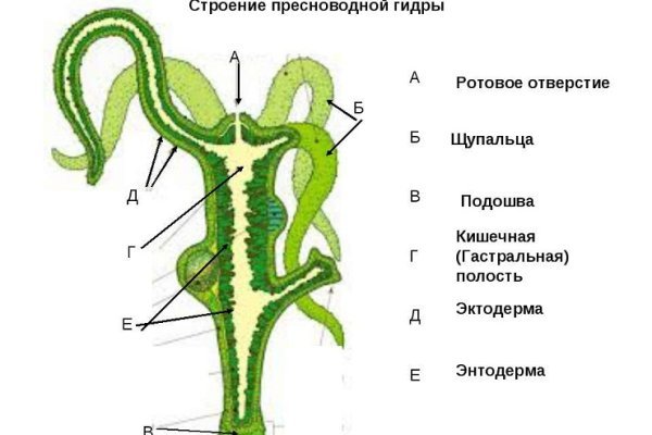 Kraken market зеркала