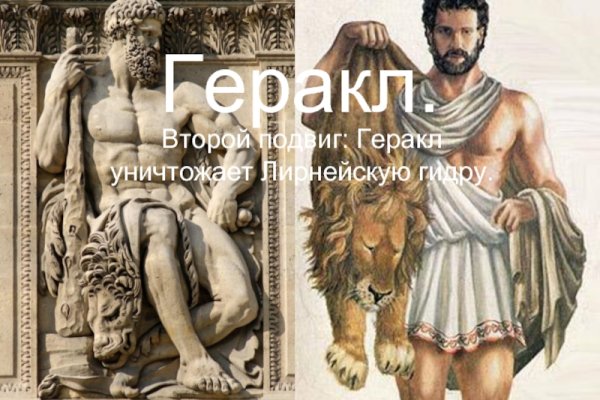 Какой нужен тор чтоб зайти в кракен