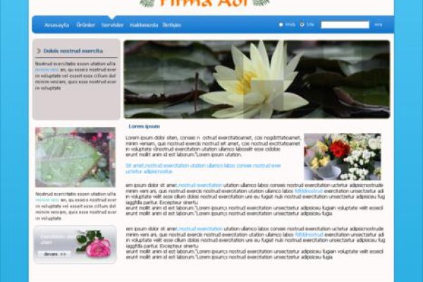Как найти официальный сайт кракен