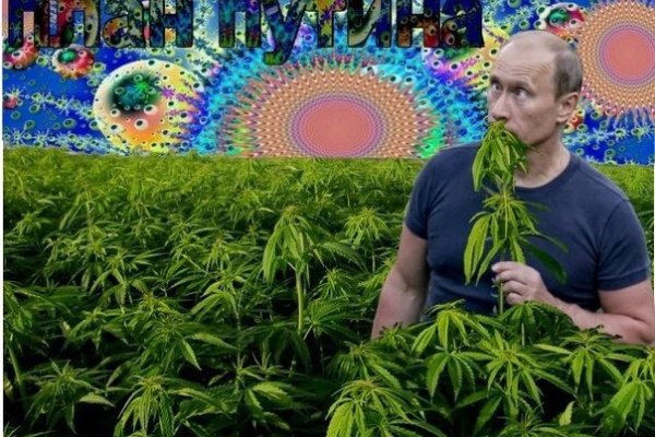 Кракен сбой