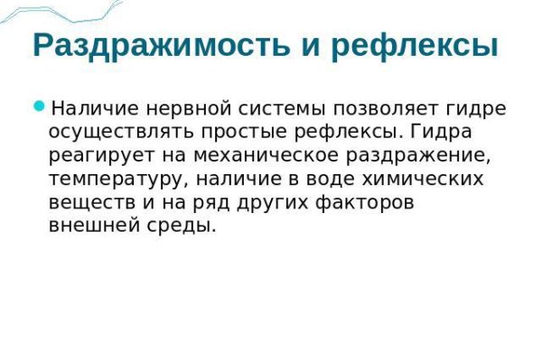 Ссылка на кракен