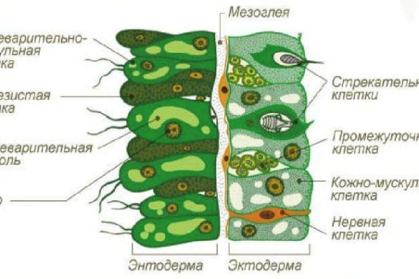 Ссылка на кракен свежая