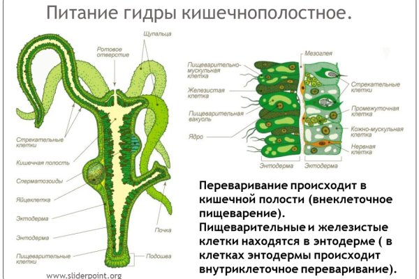 Кракен даркнет маркет ссылка на сайт тор