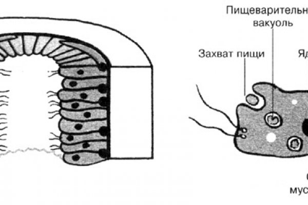 Кракен что там продают