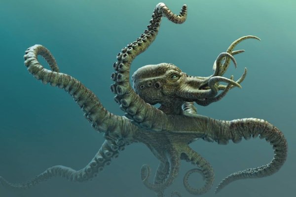 Kraken сайт зеркала
