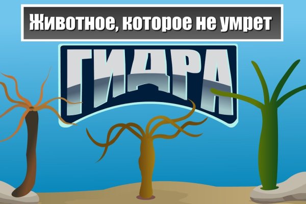 Кракен маркет зеркало